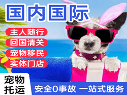 山南隆子机场快运国际宠物托运 【国